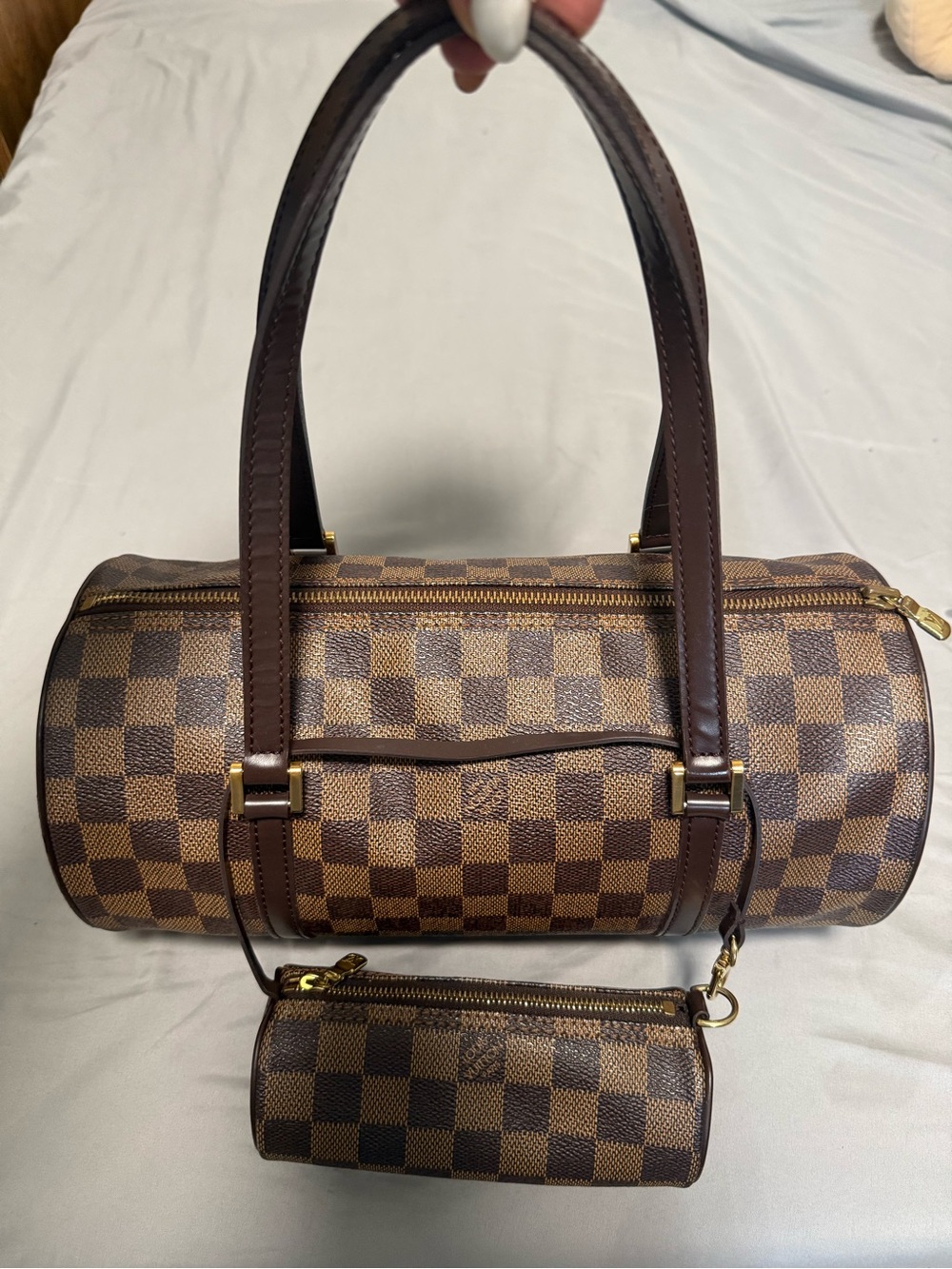 LV momma and baby papillon